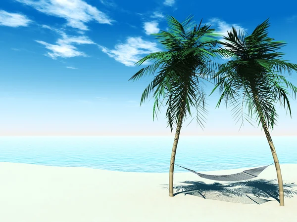 Hangmat tussen palmbomen — Stockfoto