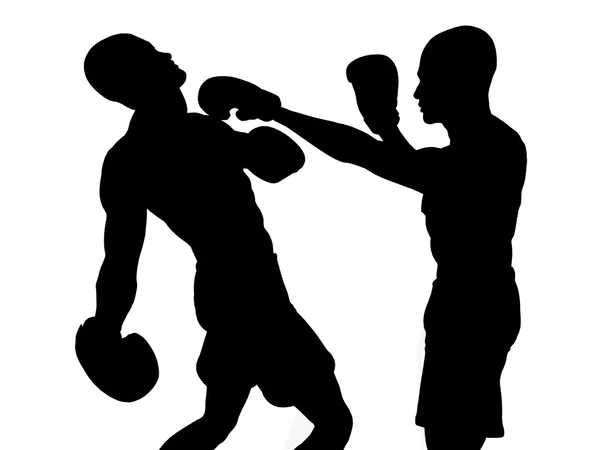 Boxer che combattono — Foto Stock