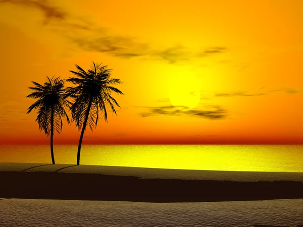 Тропический восход солнца — стоковое фото