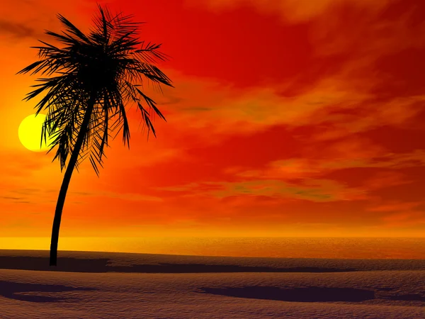 Por do sol tropical — Fotografia de Stock
