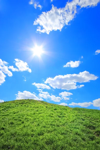 Green grass hills under midday sun — Stock Photo, Image