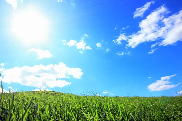 Colinas de grama verde sob o sol do meio-dia — Fotografia de Stock