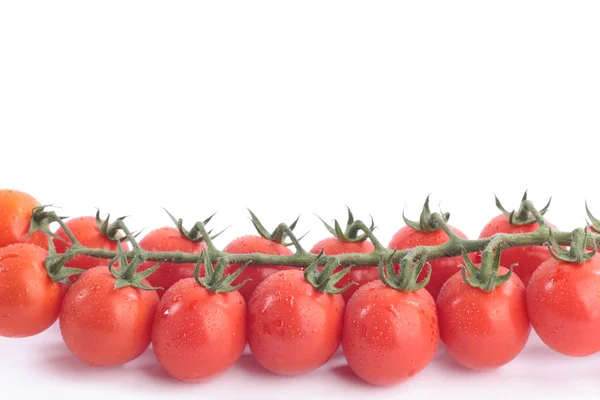 Beyaz arka plan üzerinde olgunlaşmış sarmaşık domates — Stok fotoğraf
