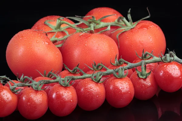 Wiśniowe pomidory na czarno — Zdjęcie stockowe