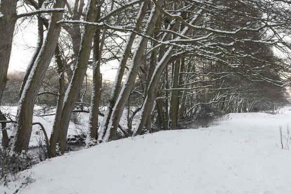 Paesaggio invernale coperto di neve — Foto Stock