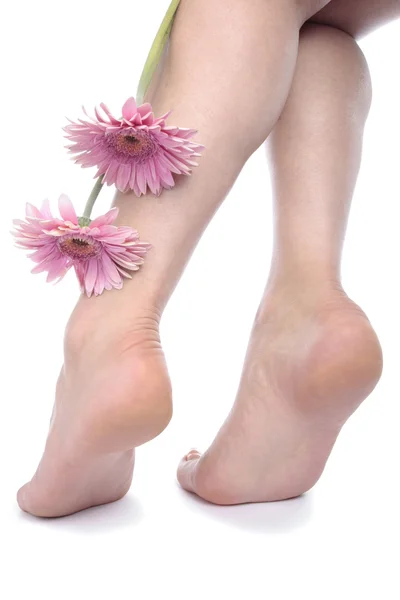 Woman legs and flowers over white background — Stock Photo, Image