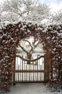 Garden gate and lawn covered in snow clipart