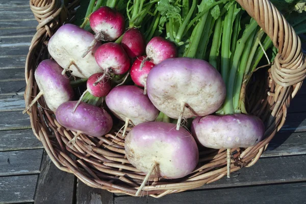 Vegetais raiz closeup no cesto — Fotografia de Stock