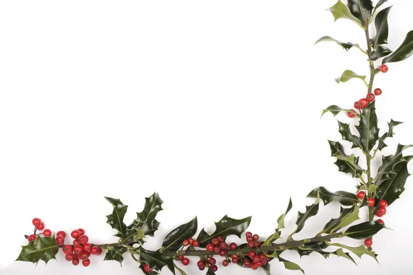 Boże Narodzenie holly jagody dekoracje — Zdjęcie stockowe