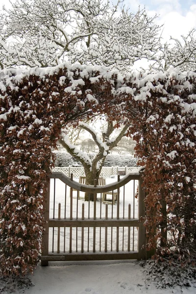 Garden gate and lawn covered in snow — Stock Photo, Image