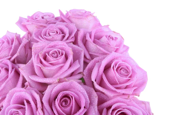 Strauß rosa Rosen über weißem — Stockfoto