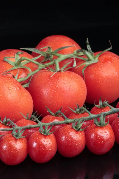 Cherry wijnstok tomaten op zwart — Stockfoto