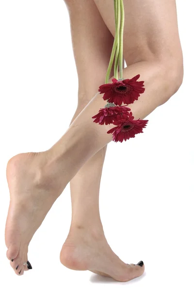 여자 다리와 흰색 배경 위에 꽃 — 스톡 사진
