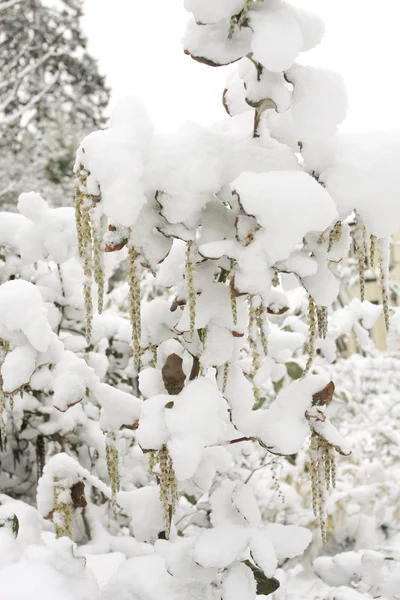Χειμερινό τοπίο καλυμμένο με χιόνι — Φωτογραφία Αρχείου
