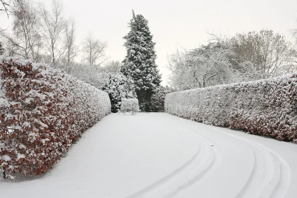 Winter landscape covered in snow — Stock Photo, Image