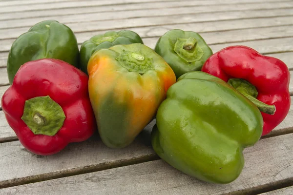 Freshly picked vegetables — Stock Photo, Image