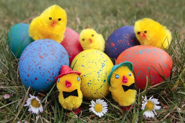 Easter eggs and chicks — Stock Photo, Image