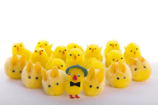 Easter eggs and chicks — Stock Photo, Image