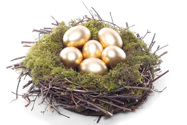 Huevos Polluelos Pascua — Foto de Stock
