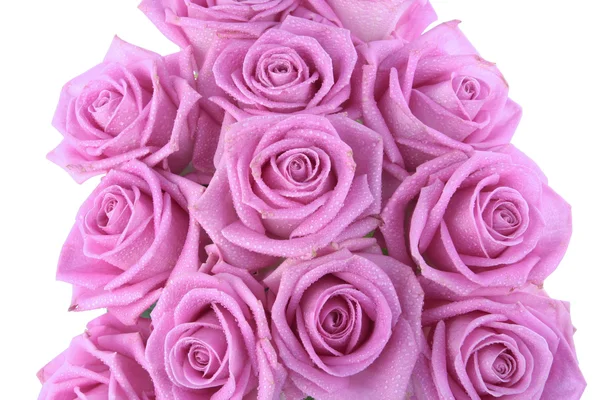 Kytice Růží Nad Bílým Pozadím — Stock fotografie