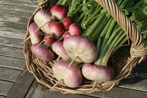 Raíz de verduras en la cesta —  Fotos de Stock