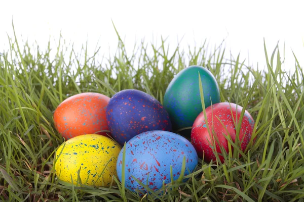 Velikonoční vejce na trávě nad bílá — Stock fotografie