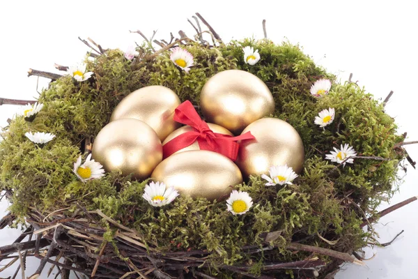 Ovos de Páscoa em ninho de pássaro em branco — Fotografia de Stock