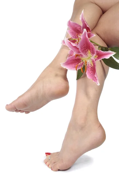 Γυναίκα τα πόδια και λουλούδια, πάνω από το λευκό φόντο — Φωτογραφία Αρχείου