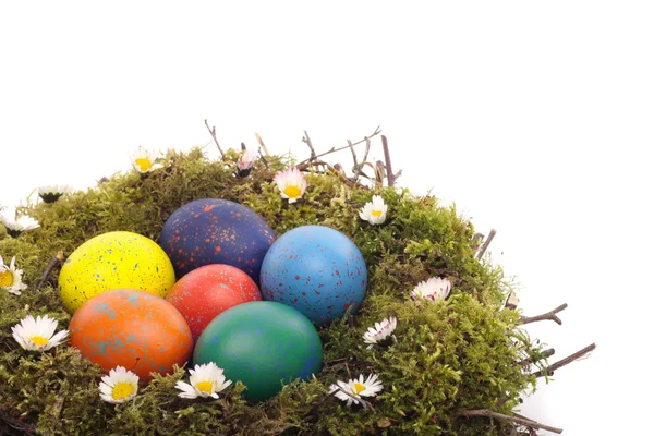 复活节彩蛋和小鸡 — 图库照片