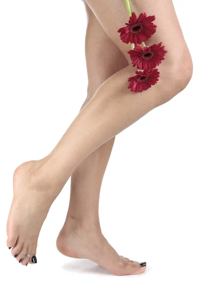 Frau Beine und Blumen auf weißem Hintergrund — Stockfoto