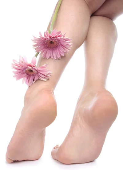 Женские ноги и цветы на белом фоне — стоковое фото