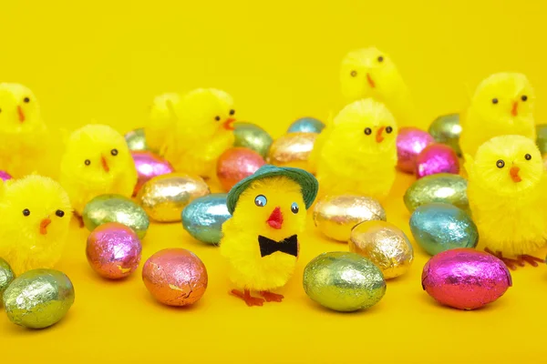 Ovos de Páscoa e Filhotes — Fotografia de Stock