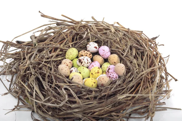 Ovos de Páscoa em ninho de pássaro em branco — Fotografia de Stock
