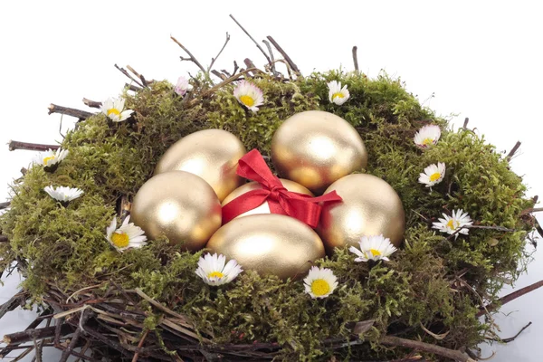 Золотые яйца в птичьем гнезде на белом фоне — стоковое фото
