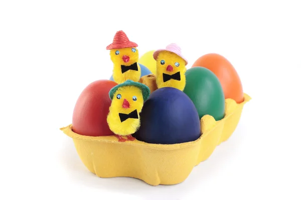 Ovos de Páscoa coloridos e pintos em caixa sobre branco — Fotografia de Stock