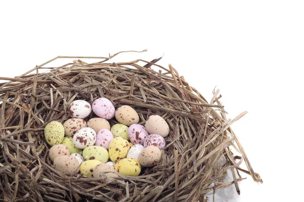 Ovos de chocolate no ninho de pássaros sobre fundo branco — Fotografia de Stock