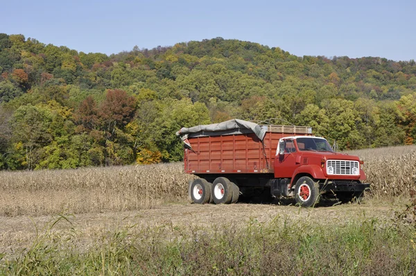 Camión rojo granja — Foto de Stock