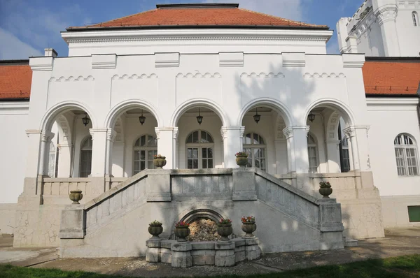 Le château du comte dunjdjerskog en Serbie — Photo