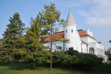 The castle of Count dunjdjerskog in Serbia clipart