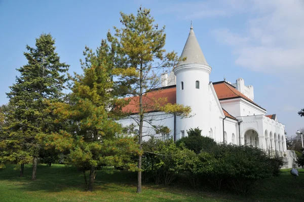 Hrad hraběte dunjdjerskog v Srbsku — Stock fotografie