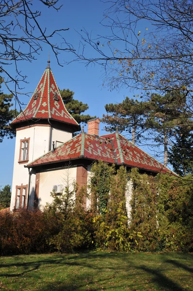 Ethno huis-kasteel — Stockfoto