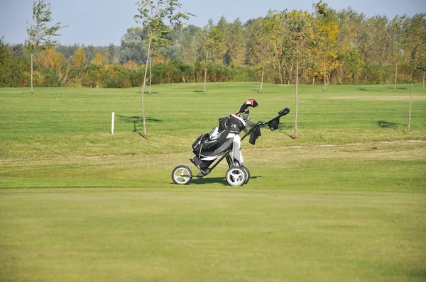 Bolas de golfe na grama — Fotografia de Stock
