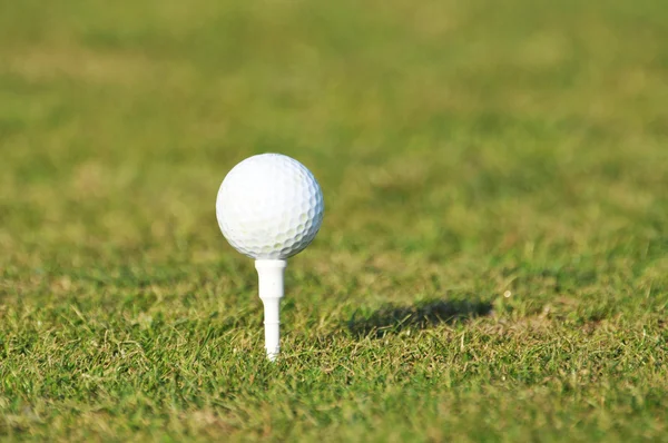 Golf balls on the grass — Stock Photo, Image