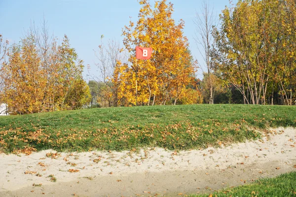 Golfballen op het gras — Stockfoto