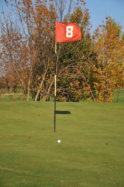 草の上のゴルフ ・ ボール — ストック写真