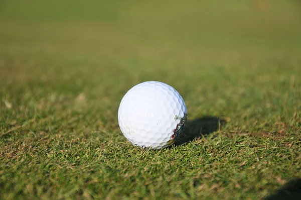 Golfové míčky na trávě — Stock fotografie