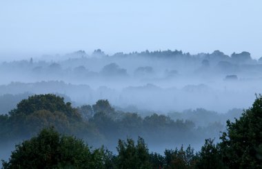 sussex kırsal genelinde sabah sis