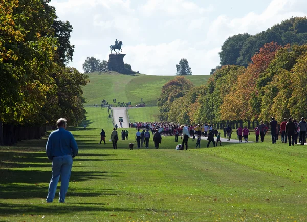 running4women 8k uzun yürüyüşte, windsor