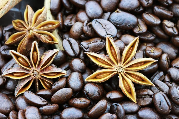 Steranijs en koffie bonen — Stockfoto