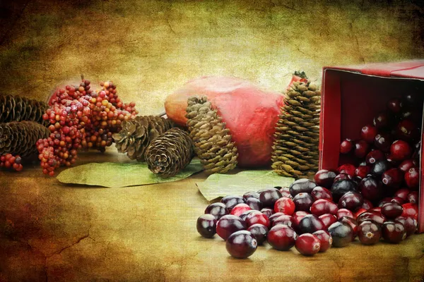 Cranberry csendélet — Stock Fotó